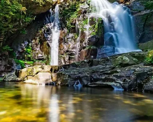 Bach Ma National Park one day tour